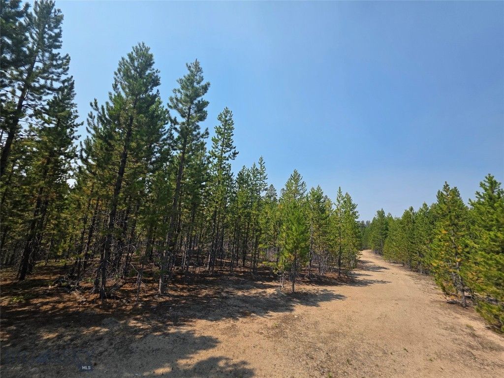 NHN Sparo #10467, Butte, MT 59701 photo 3