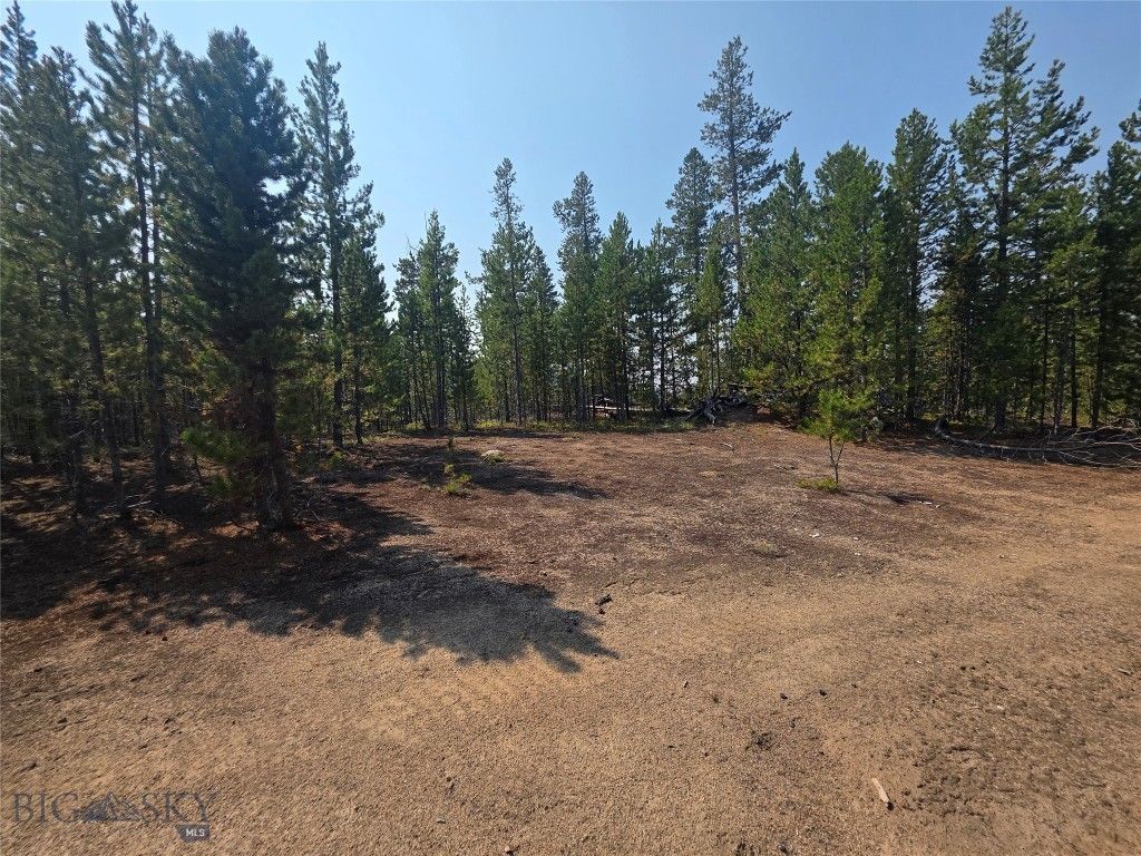 NHN Sparo #10467, Butte, MT 59701 photo 4