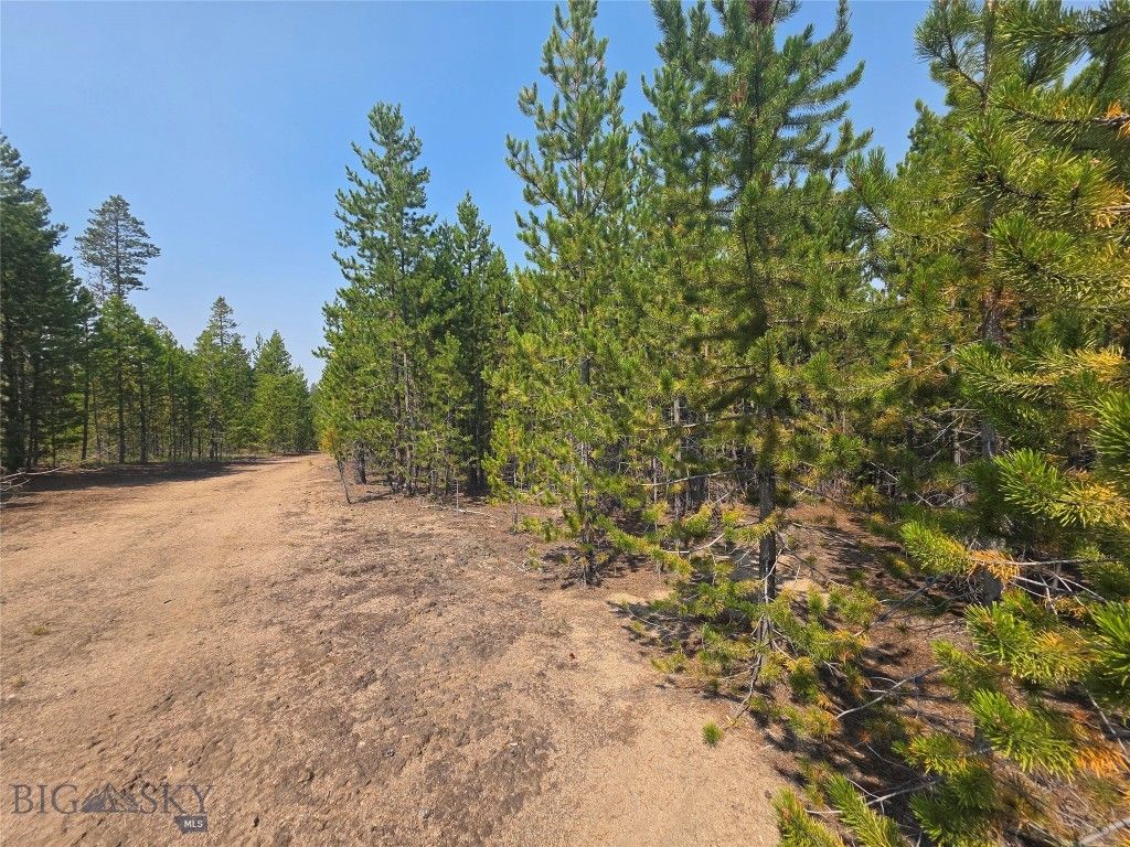 NHN Sparo #10467, Butte, MT 59701 photo 5