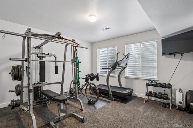3418 Starry Night Loop, Castle Rock, CO 80109