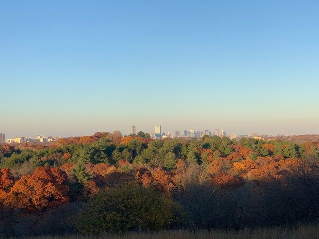 46 Sycamore St, Boston, MA 02131