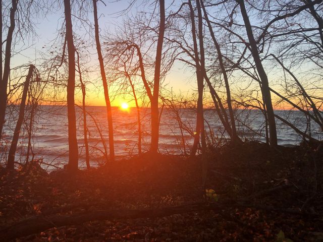 TBD - Lot 6 Ottertail Point Drive NW, Cass Lake, MN 56633