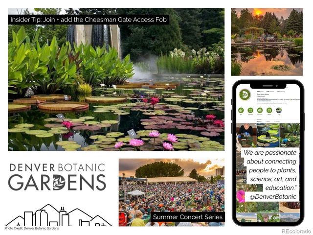 1313 N Williams Street 503, Denver, CO 80218