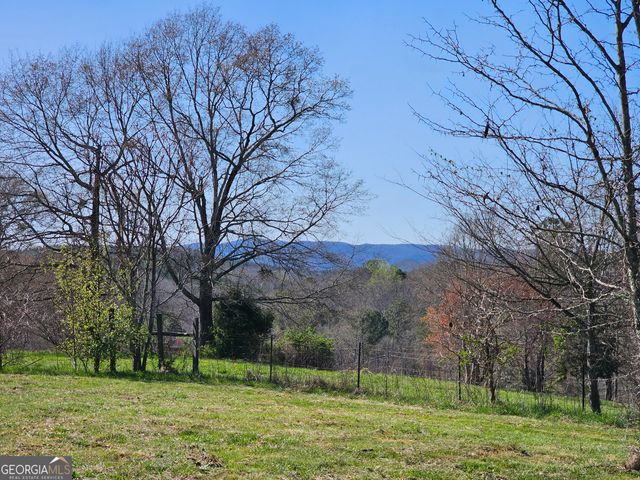 0 Prior Station Road TRACT 1, Cedartown, GA 30125
