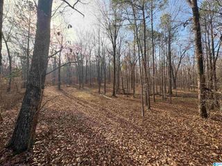 4540 CABIN ROAD, Mccalla, AL 35022