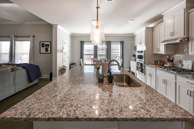 3331 Grassy Fields Lane, Apison, TN 37302