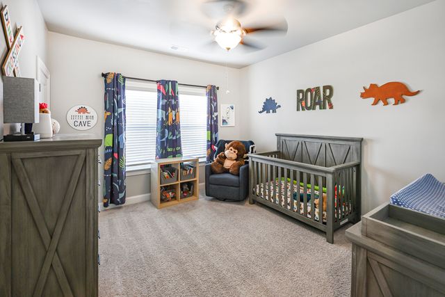 3331 Grassy Fields Lane, Apison, TN 37302