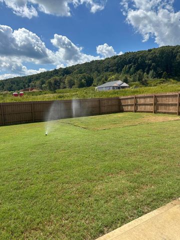 3331 Grassy Fields Lane, Apison, TN 37302
