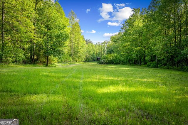 460 Wikle Drive, Ellijay, GA 30540