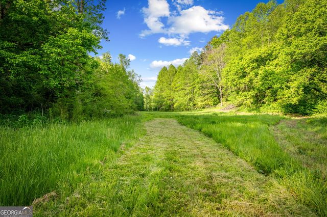 460 Wikle Drive, Ellijay, GA 30540