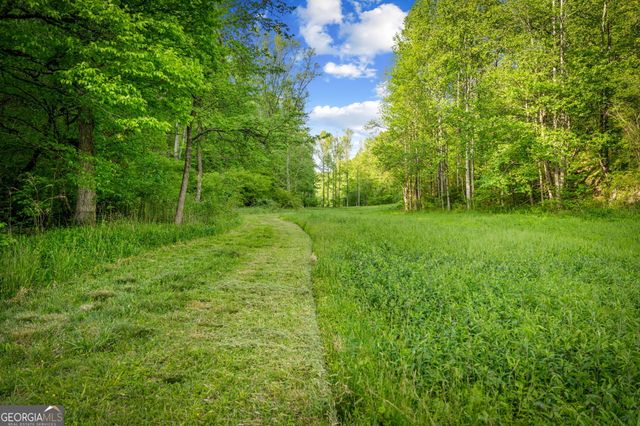 460 Wikle Drive, Ellijay, GA 30540