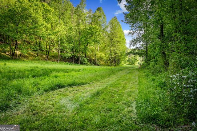 460 Wikle Drive, Ellijay, GA 30540