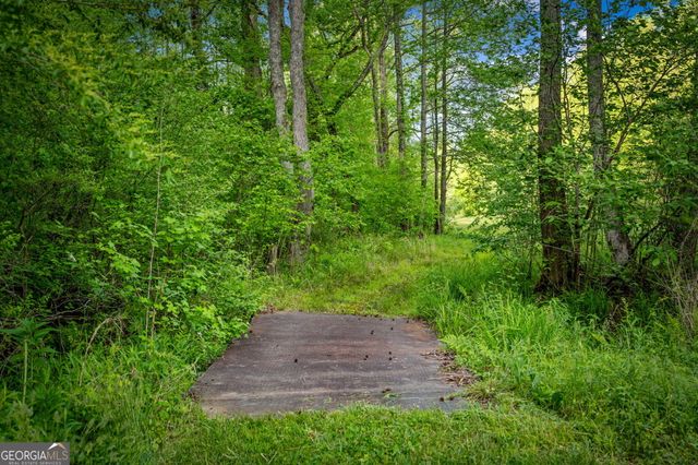 460 Wikle Drive, Ellijay, GA 30540