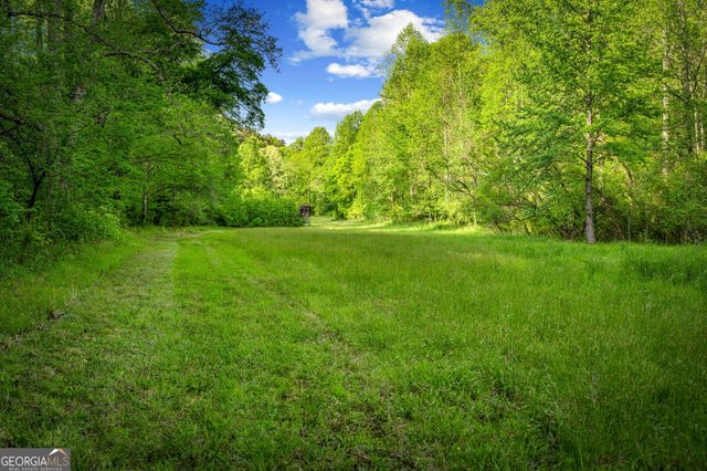 460 Wikle Drive, Ellijay, GA 30540