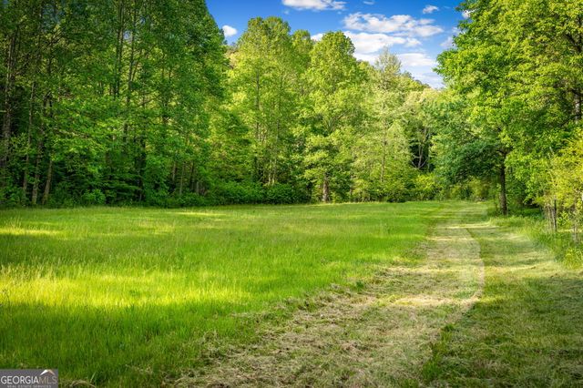 460 Wikle Drive, Ellijay, GA 30540