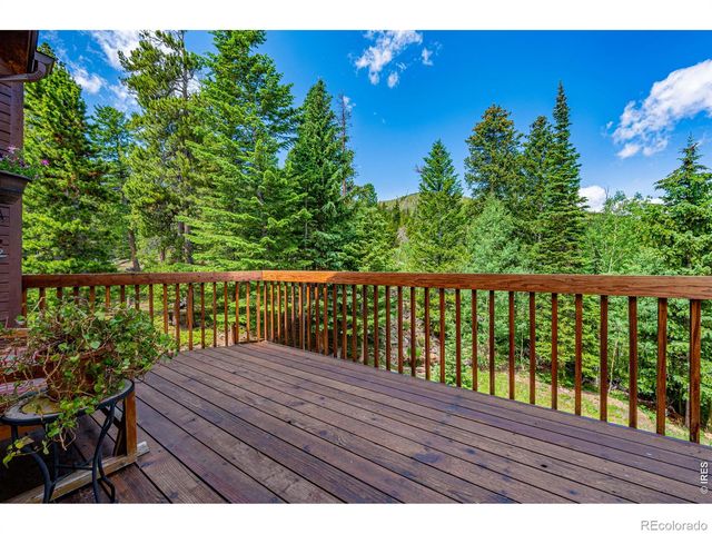 518 Meadow Mountain Drive, Allenspark, CO 80510