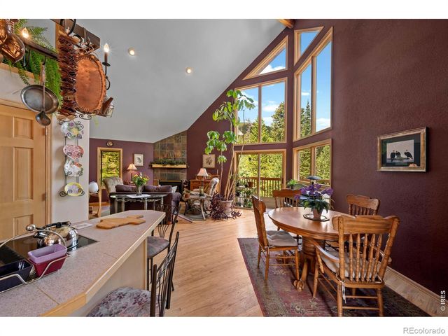 518 Meadow Mountain Drive, Allenspark, CO 80510