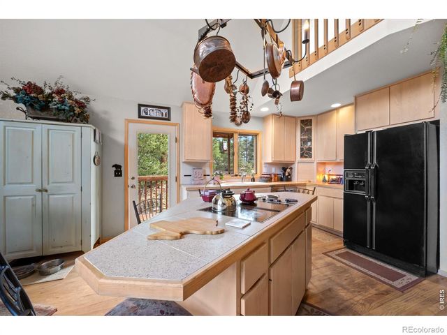 518 Meadow Mountain Drive, Allenspark, CO 80510