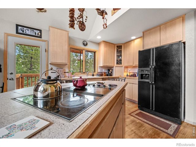 518 Meadow Mountain Drive, Allenspark, CO 80510