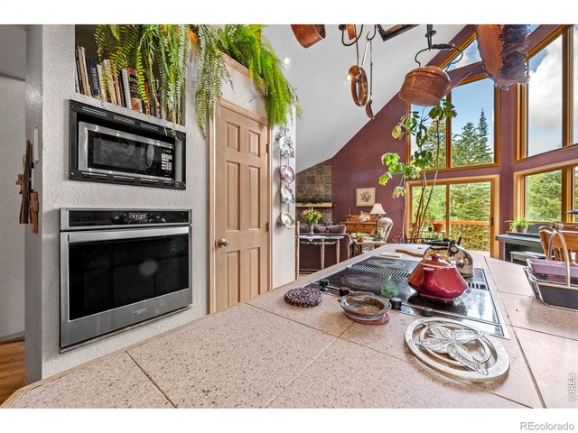 518 Meadow Mountain Drive, Allenspark, CO 80510