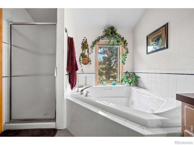 518 Meadow Mountain Drive, Allenspark, CO 80510