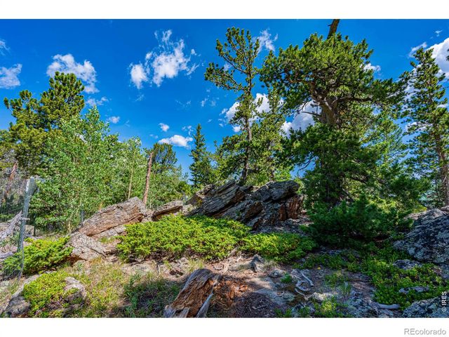 518 Meadow Mountain Drive, Allenspark, CO 80510
