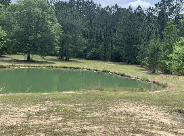 339 Crystal Lane, Ragley, LA 70657