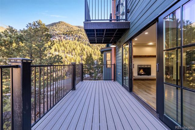 205 Loop Drive, Georgetown, CO 80444