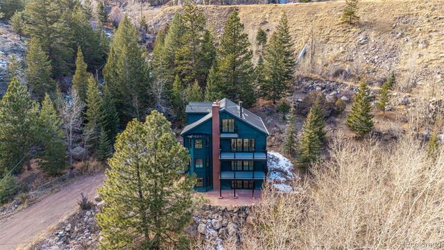 205 Loop Drive, Georgetown, CO 80444