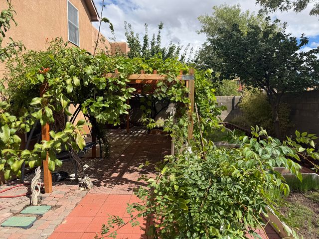 9228 Bluewood Lane NE, Albuquerque, NM 87122