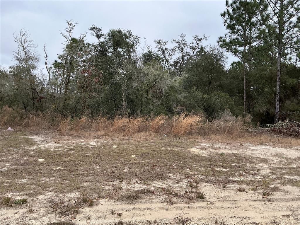 LOT 27 SW 77TH AVENUE, Ocala, FL 34473