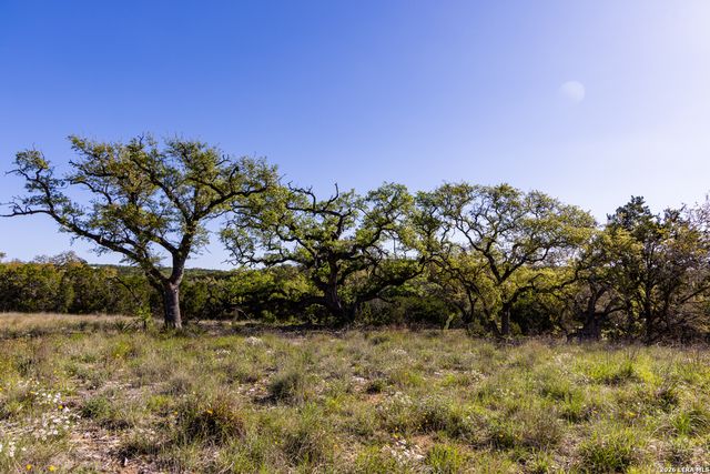 755 Banfield Pass Av, Bulverde, TX 78163