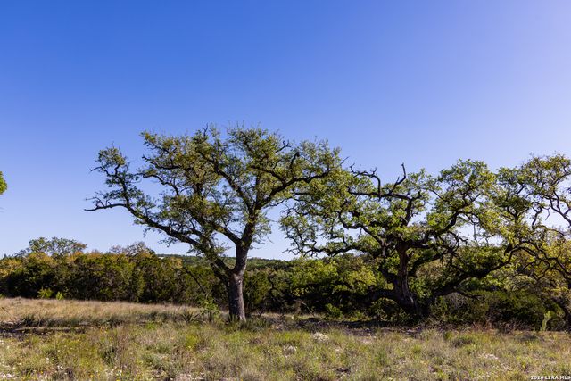 755 Banfield Pass Av, Bulverde, TX 78163