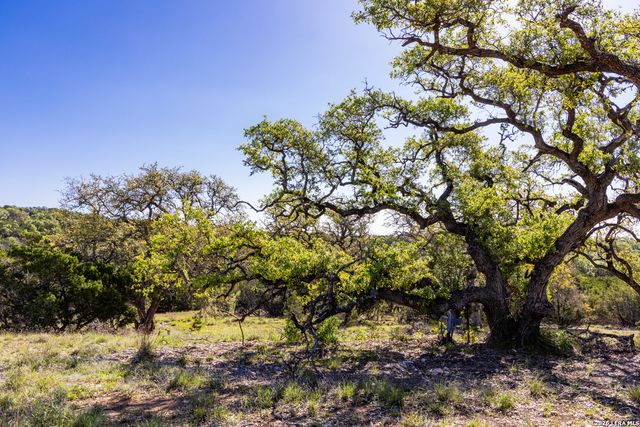 755 Banfield Pass Av, Bulverde, TX 78163