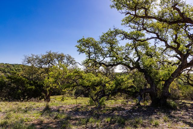 755 Banfield Pass Av, Bulverde, TX 78163