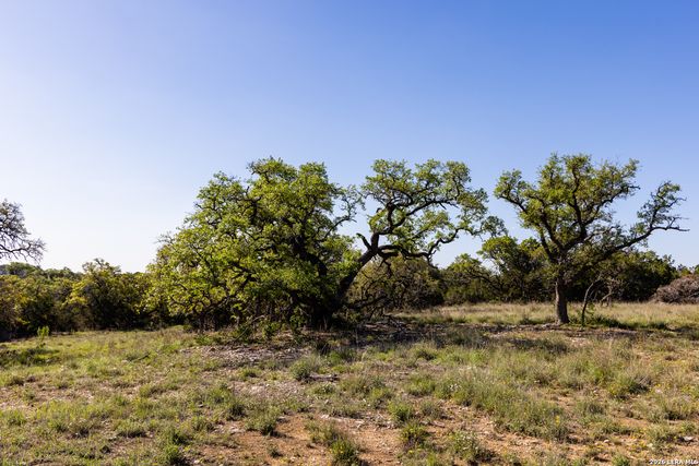 755 Banfield Pass Av, Bulverde, TX 78163