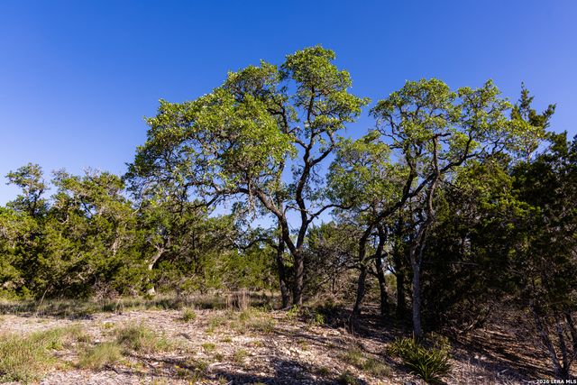 755 Banfield Pass Av, Bulverde, TX 78163