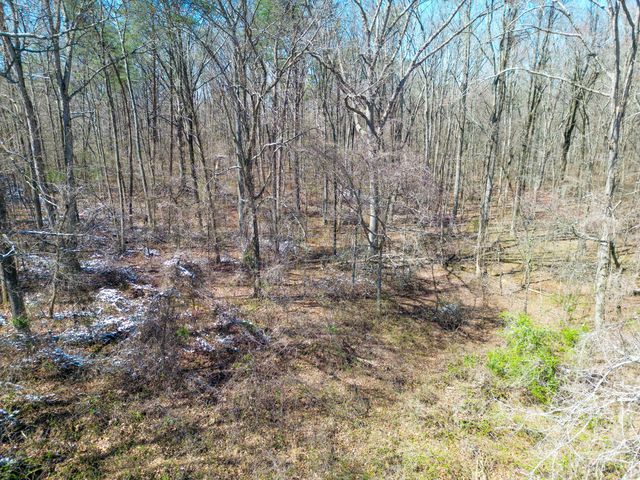 381 County Road 131, Bryant, AL 35958
