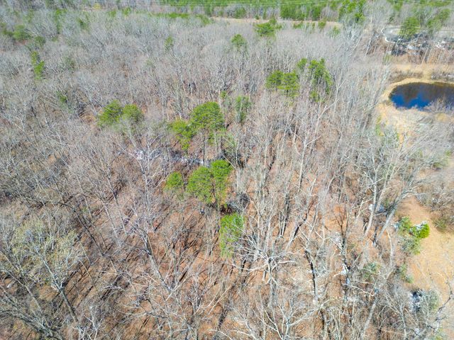 381 County Road 131, Bryant, AL 35958