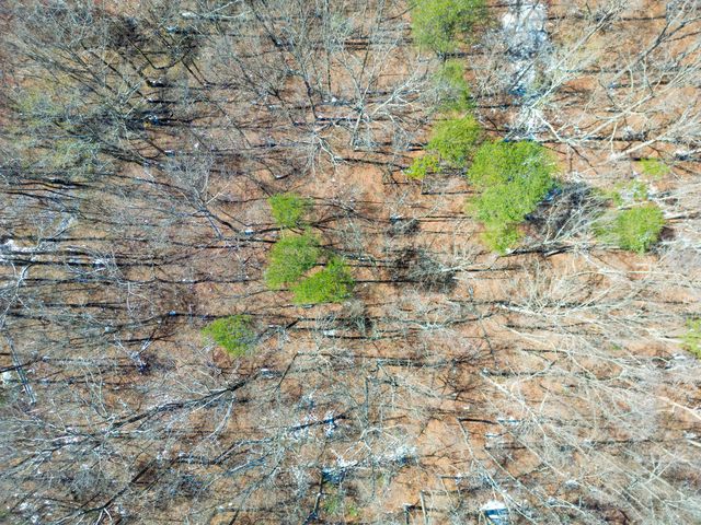 381 County Road 131, Bryant, AL 35958