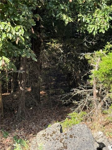 30 Quail-Run Drive, Holiday Island, AR 72631