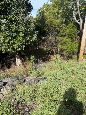 30 Quail-Run Drive, Holiday Island, AR 72631