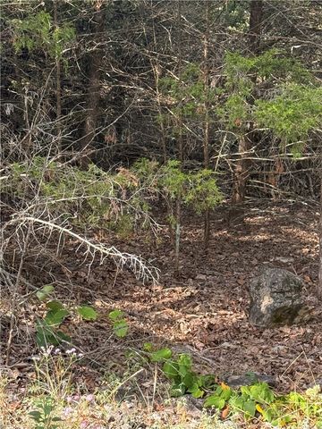 30 Quail-Run Drive, Holiday Island, AR 72631