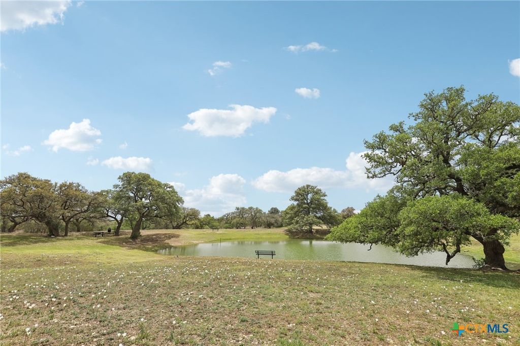 Image 48 of property listing at 223 Summer Glen Lane, New Braunfels, TX 78132