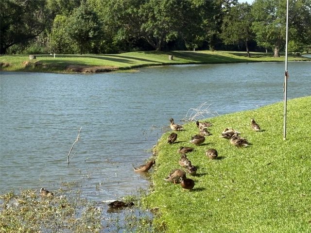 3136 Watercress Circle, Arlington, TX 76012