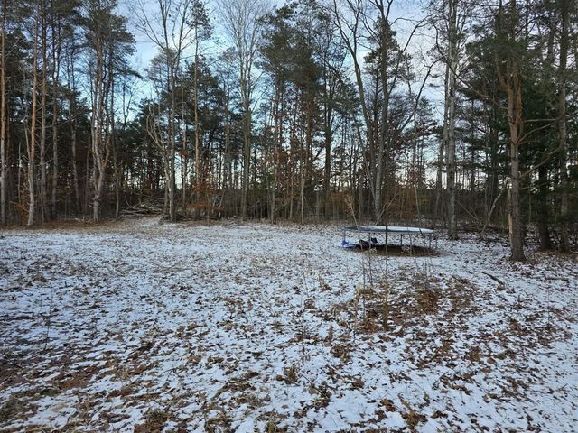 9036 N Jones Road, Howard City, MI 49329