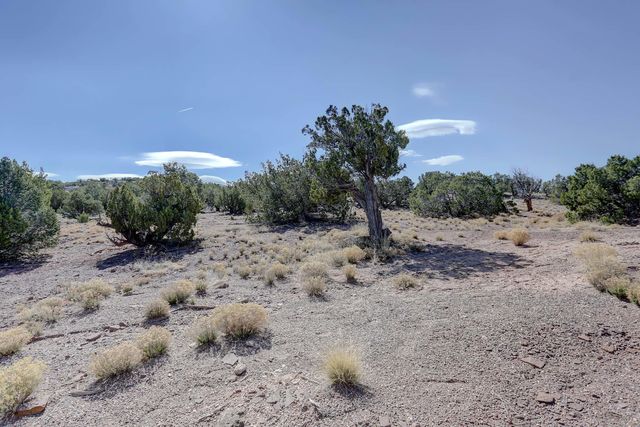Gold Mine Trail, Sandia Park, NM 87047