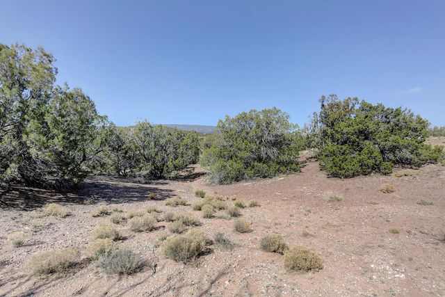 Gold Mine Trail, Sandia Park, NM 87047
