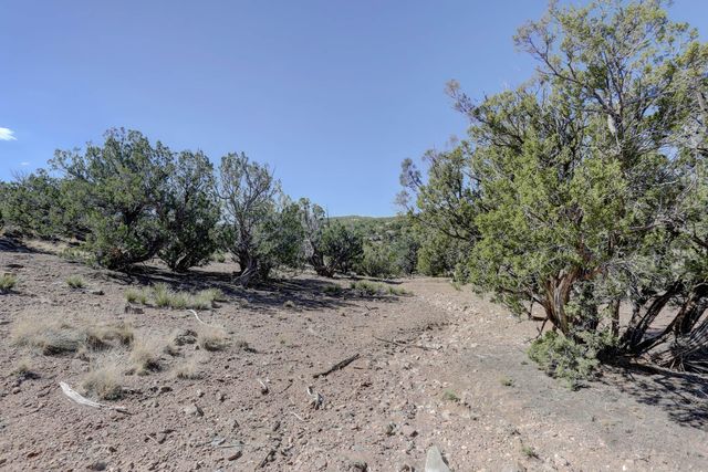 Gold Mine Trail, Sandia Park, NM 87047