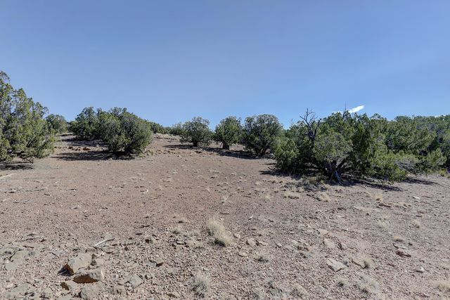 Gold Mine Trail, Sandia Park, NM 87047